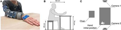 Unvealing the Principal Modes of Human Upper Limb Movements through Functional Analysis